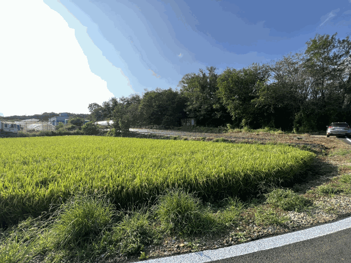 일련번호 1