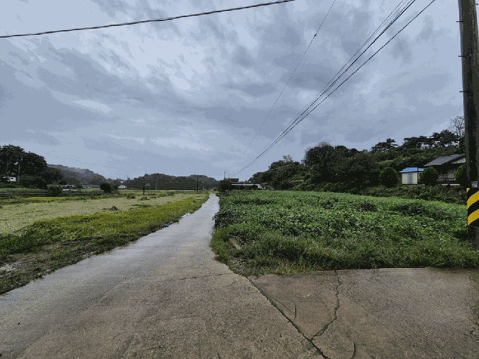 본건 주변전경