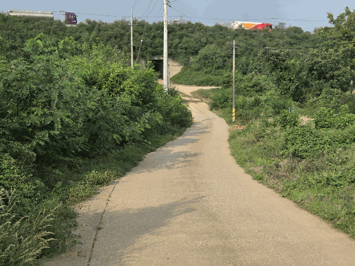 기호3 동측 인접도로 부분