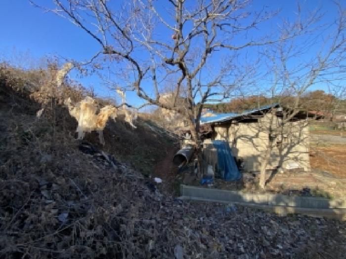목록 5 북쪽 주변토지 소재 창고 건물