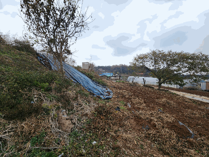 기호 5 전경(남측에서 촬영)