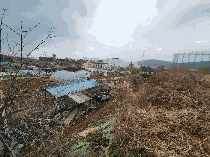 기호 5 전경(북측에서 촬영)