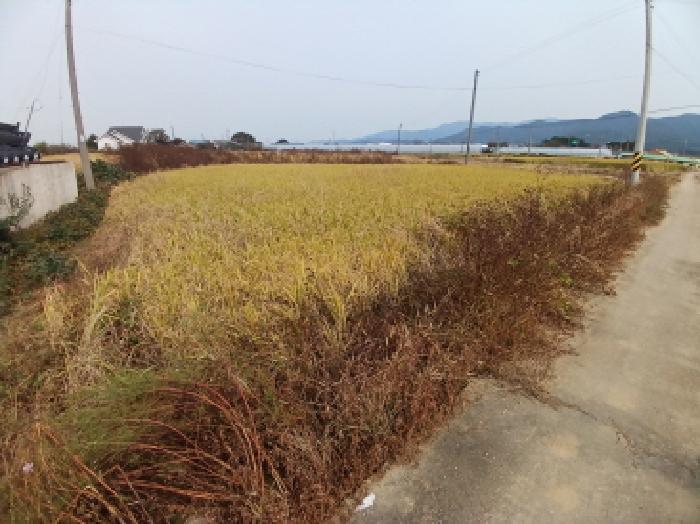 목록1 남쪽에서 본 모습