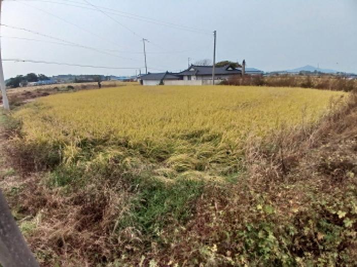 목록1 북쪽에서 본 모습