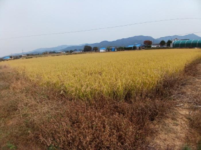 목록4 남서쪽에서 본 모습