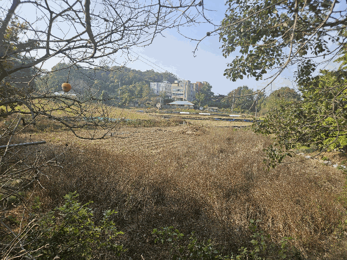 본건 전경