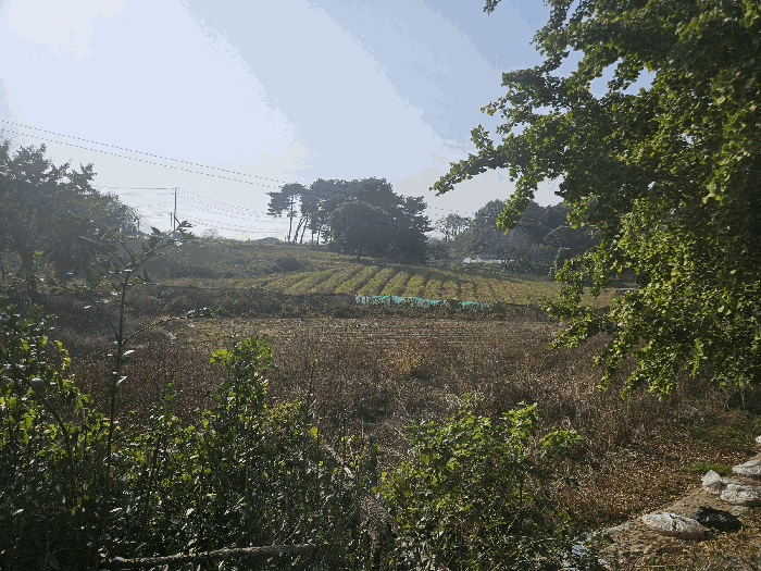 본건 전경