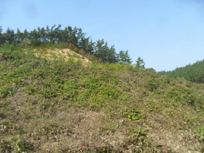 남동쪽 지상의 모습