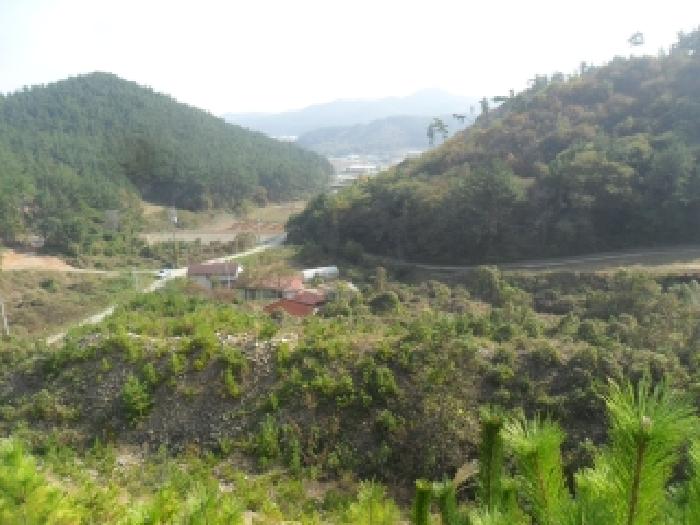 남동쪽 지상의 모습