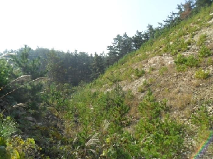 남동쪽 지상의 모습