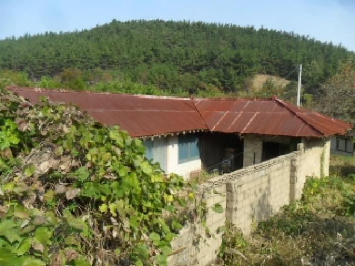 남동쪽 지상에 있는 제시외 건물의 모습