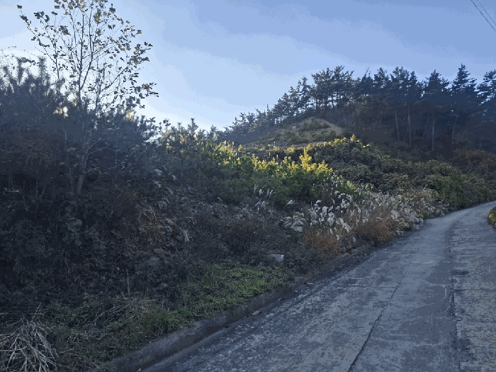 본건 동측 전경