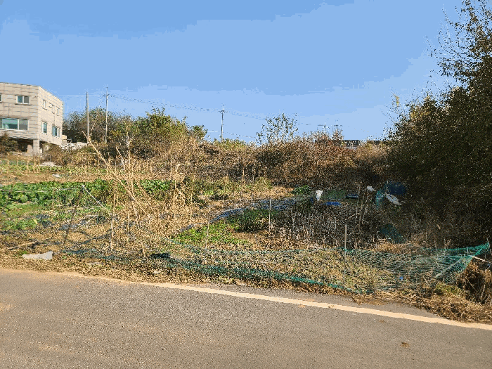 일련번호(3)