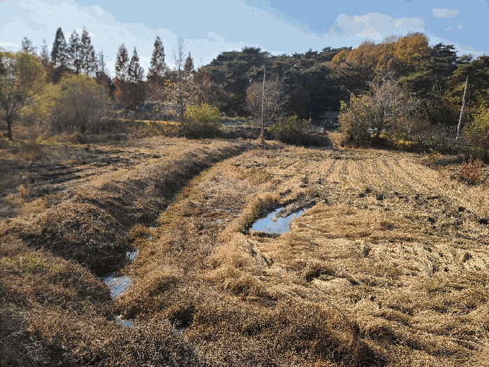 일련번호(4)