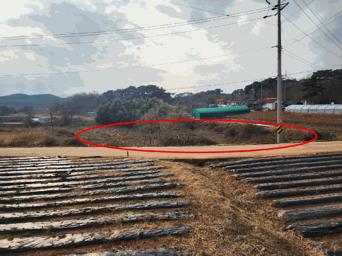본건 전경(북측에서 촬영)