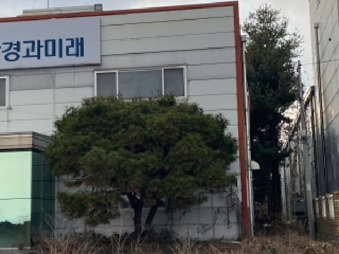목록 6 A동 전면 및 측면 제시외 소나무