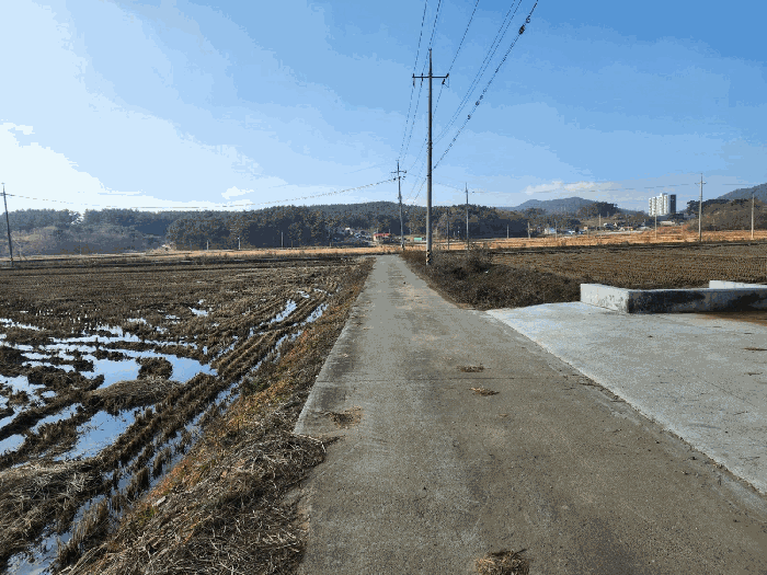 본건 북측 도로 및 주변 전경