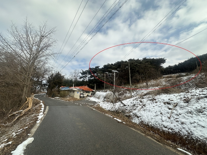 기호1,2토지(남서측 인근에서 촬영)