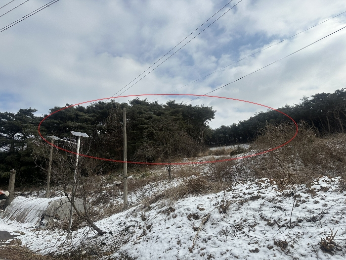 기호2토지