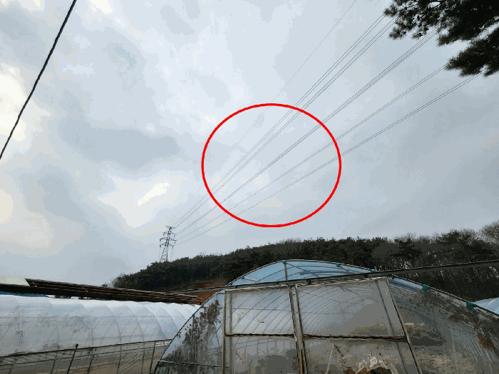 본건 지상의 고압송전선 전경