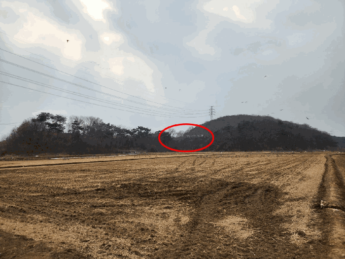 본건 원경(북동측에서 촬영)