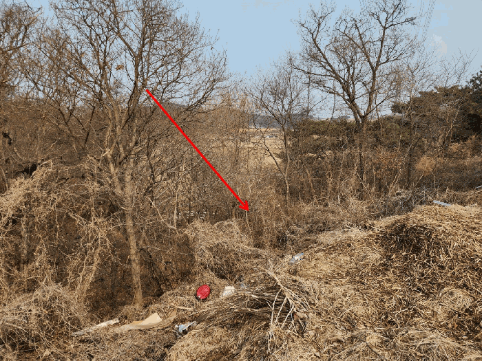 본건 북측 부분 전경 1