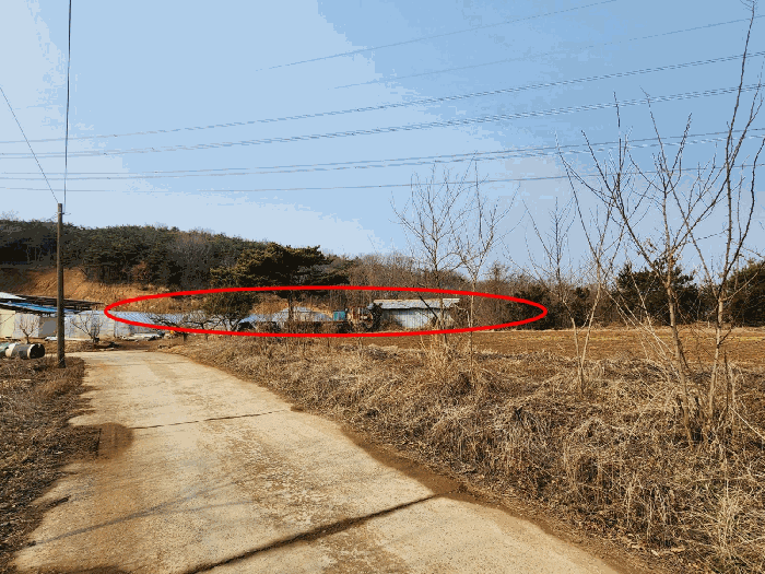 본건 전경(동측에서 촬영)