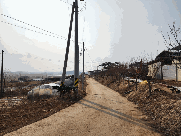 본건 남동측 도로 및 주변 전경