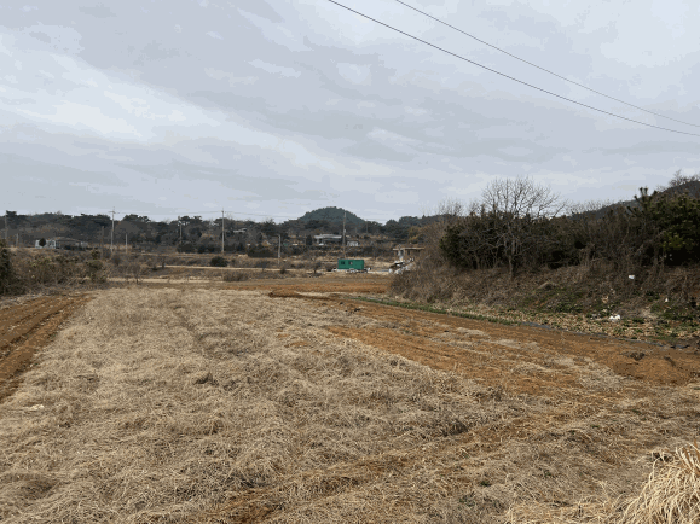 일련번호 10 전경2