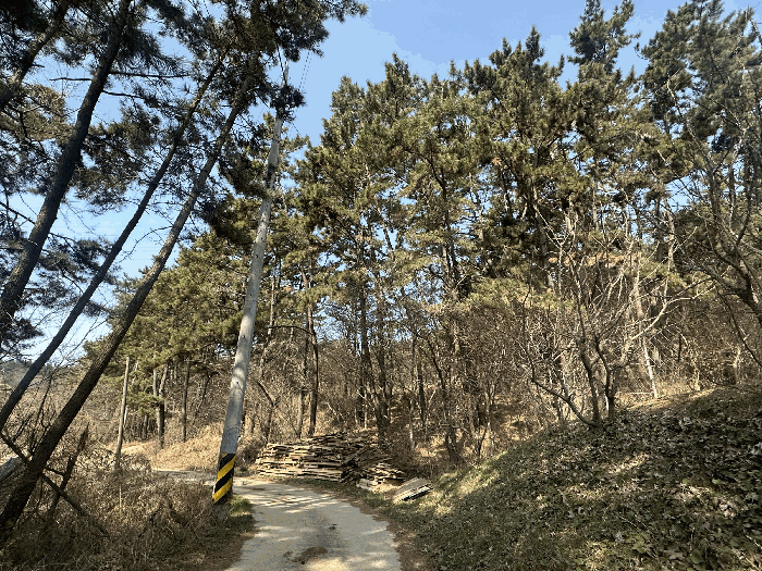 본건 전경