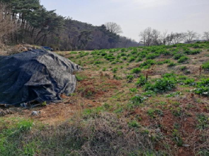 목록 3 동쪽 경계부분