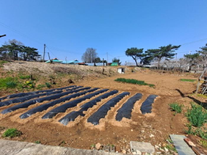 남쪽부분
