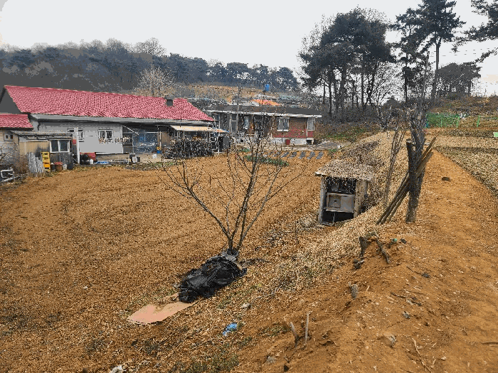 본건 전경