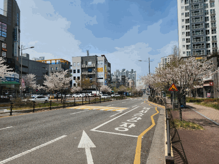 본건 동측 도로 및 주변 전경
