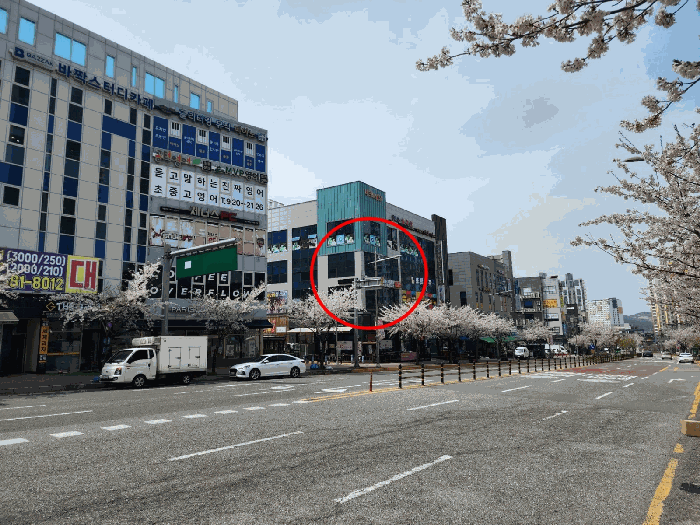 본건 원경