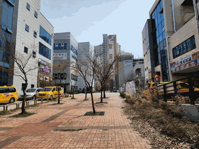 본건 서측 도로 및 주변 전경