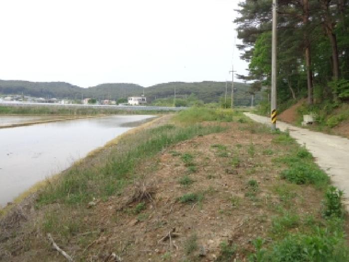 남서쪽에서 바라본 모습
