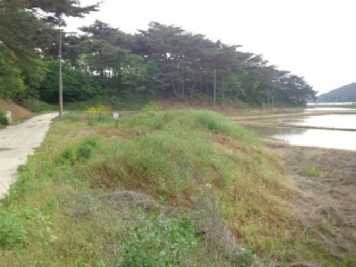 남서쪽 지상에 복토된 모습