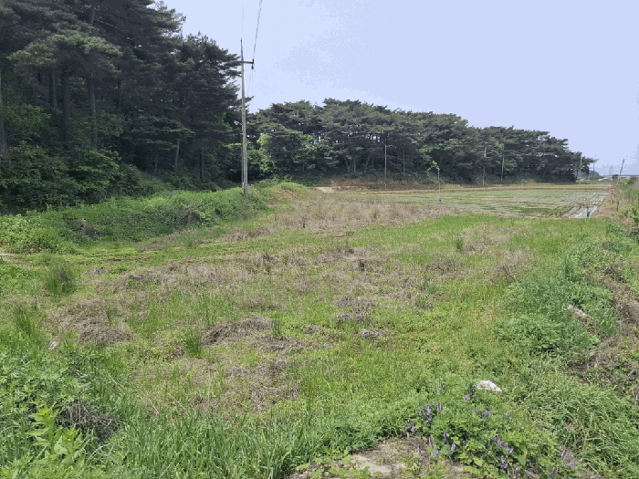 본건 전경