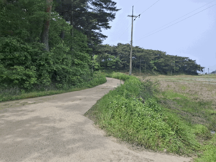 인접 도로 및 주위환경