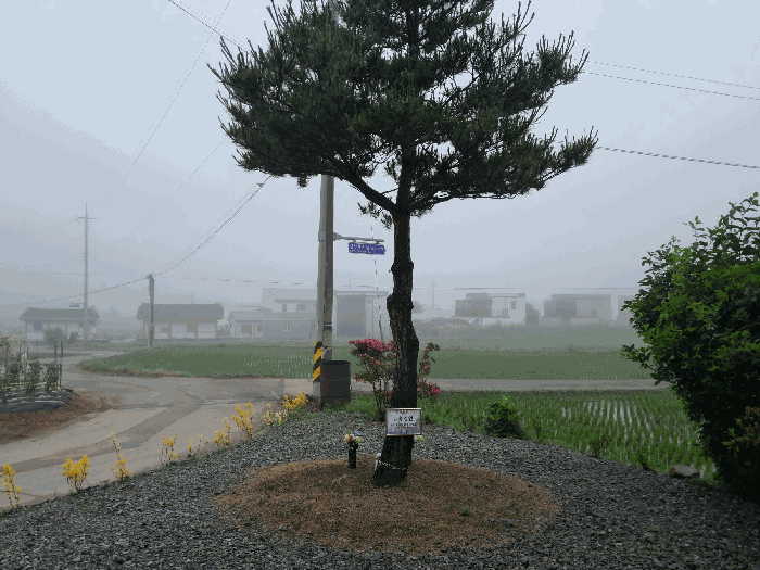 기호 3 지상 묘지(수목장)