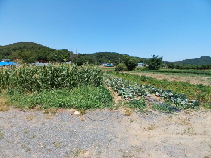 목록5