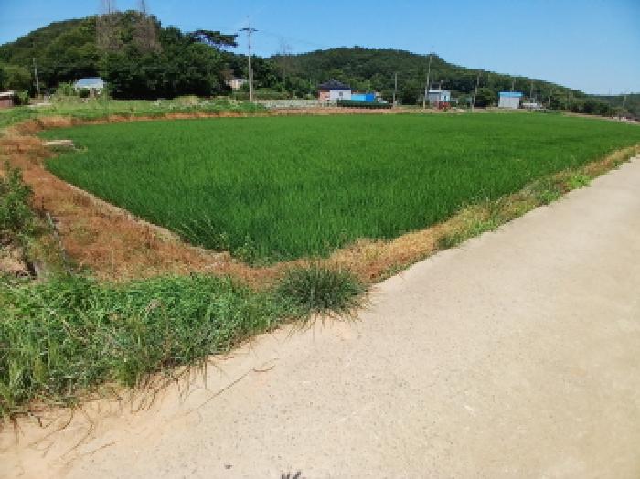 목록1