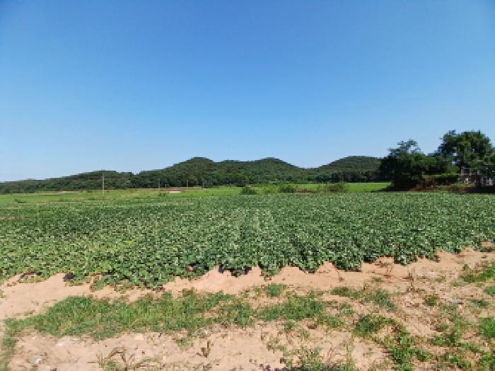 목록1,2,3