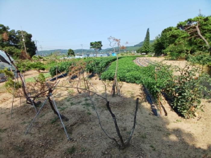 목록5
