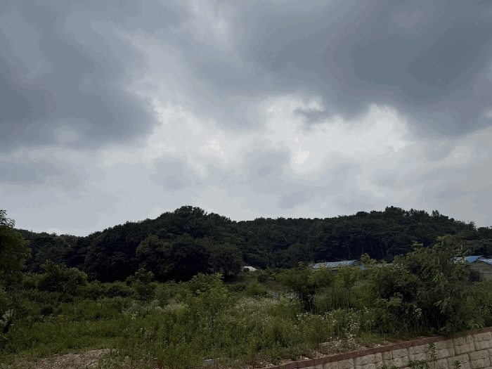 일련번호(1,2) 전경