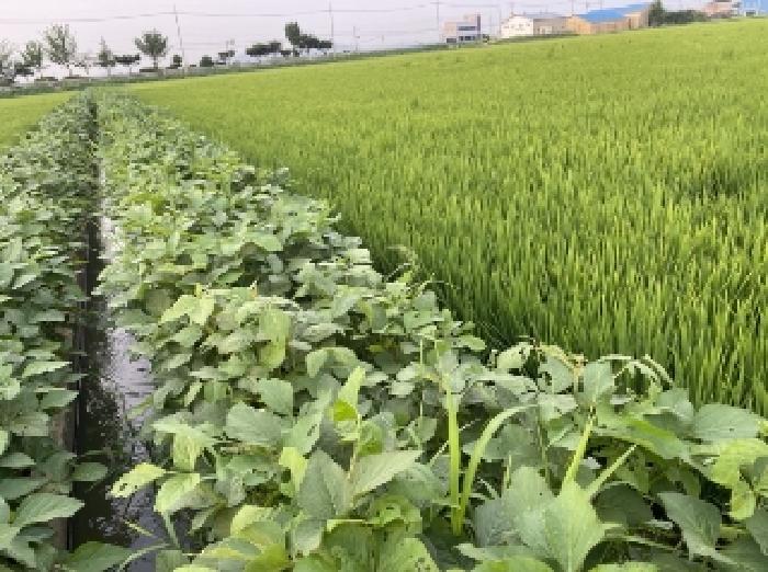 북쪽 방향 경계부분 콘크리트 농수로
