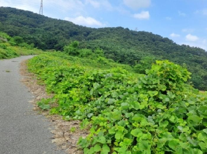 목록 5, 31, 남쪽 경계부분