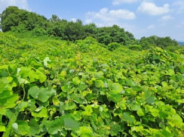 목록 18, 48 전경