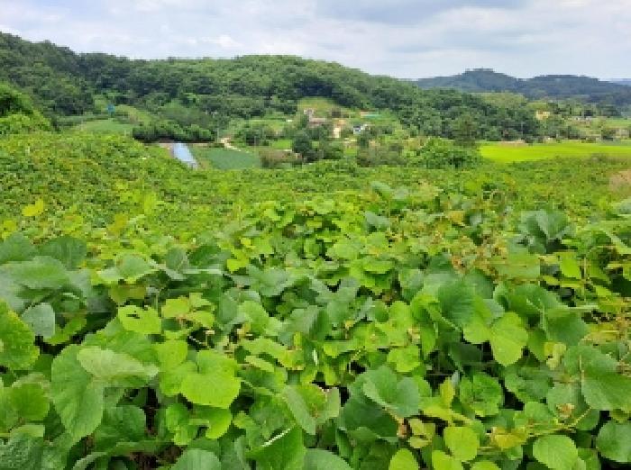 목록 7, 30 전경